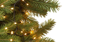 header-background-left